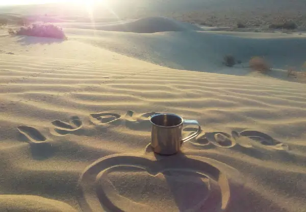 Jaisalmer for LGBTQ+ Couples: Romantic Desert Experiences & Hidden Gems