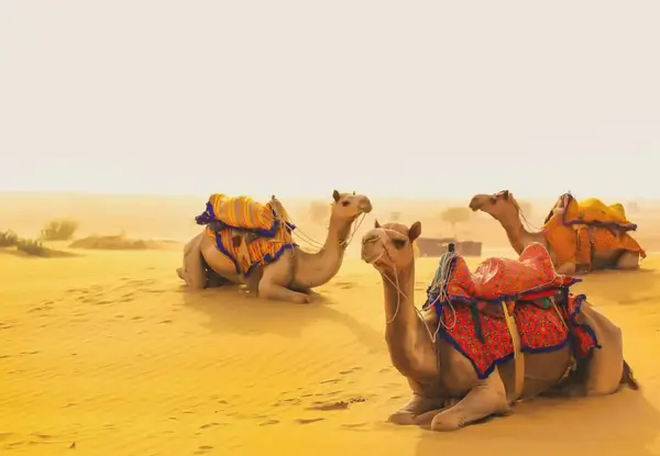 Jaisalmer to Pushkar Taxi Booking