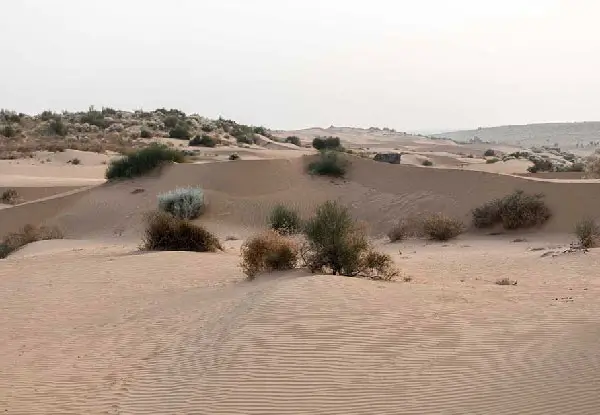 LGBTQ+ Friendly Desert Safari in Jaisalmer: What to Expect (Complete Guide)