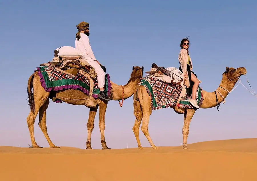 Camel Safari