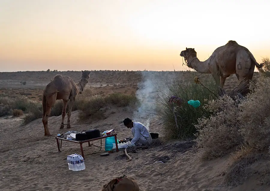 Real Desert Man Safari Jaisalmer