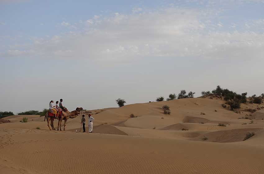 Real Desert Man Safari Jaisalmer