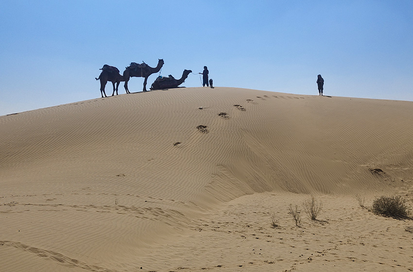 Real Desert Man Safari Jaisalmer